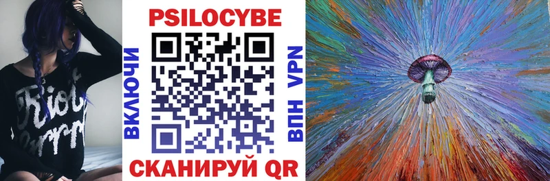 купить   Приморск  Псилоцибиновые грибы GOLDEN TEACHER 